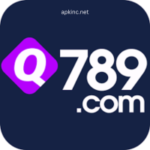 q789 game