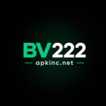 BV222 game